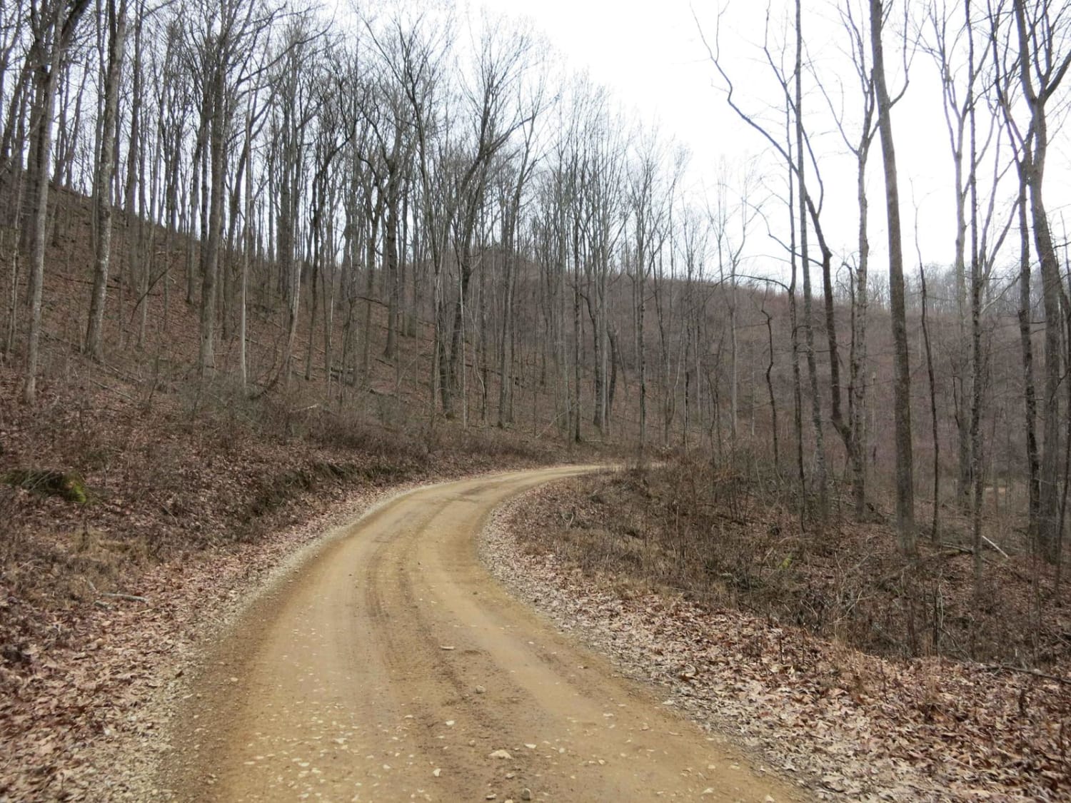 Trail 4 - Short Mountain Road