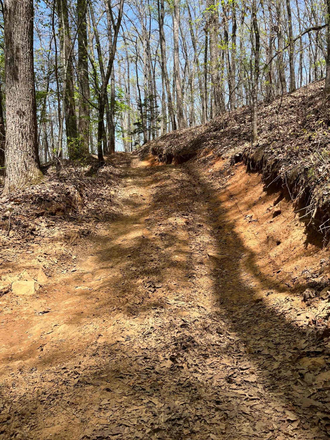 Beasley Knob