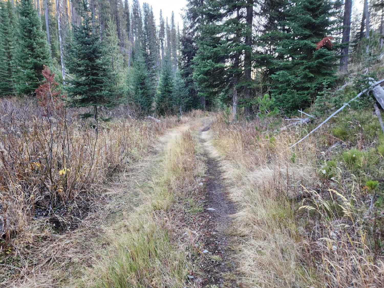 Frank Heller Mine Trail