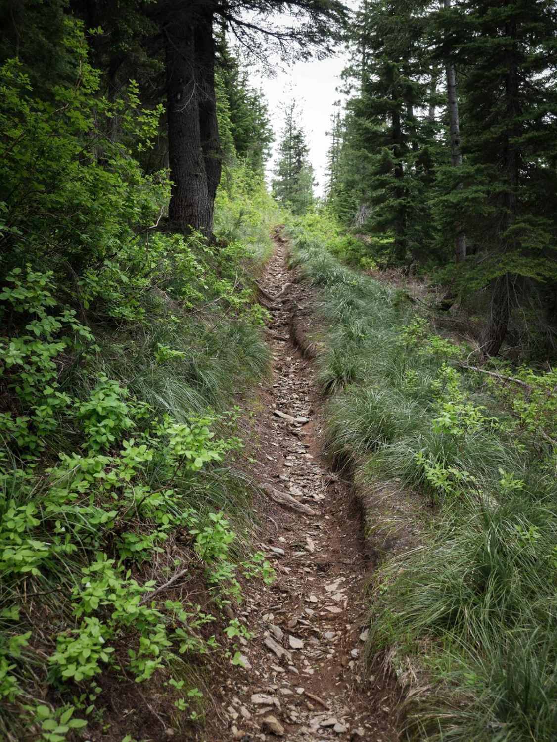 Flume Creek ATV 