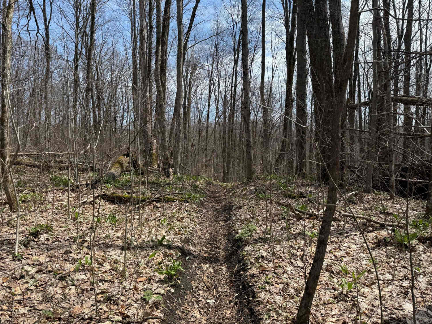 Caberfae Spur