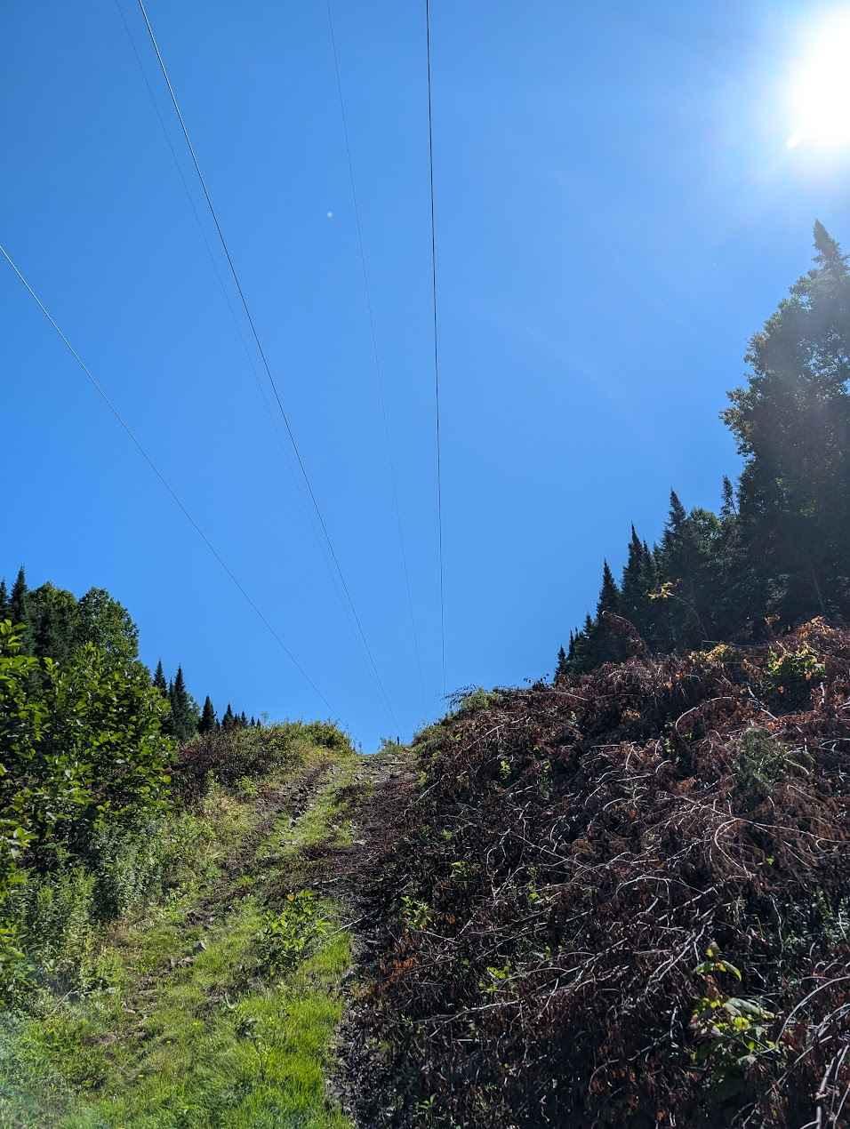 Old Springhill Loop