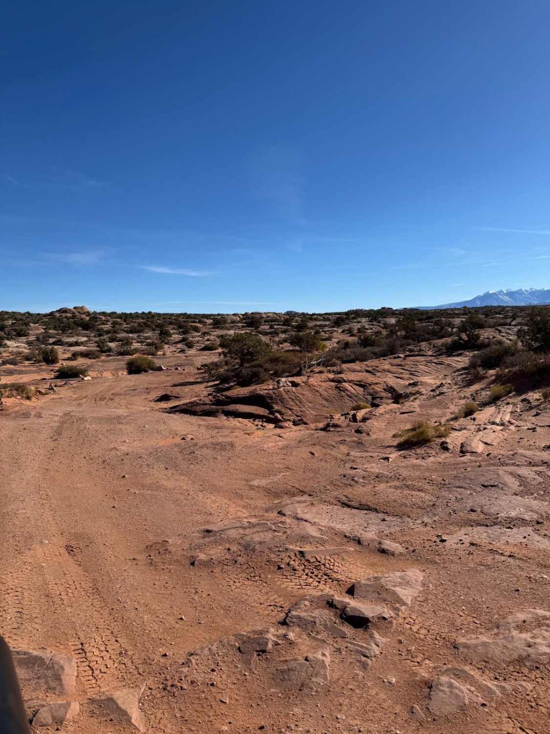Willow Springs Trail and Dinosaur Tracks