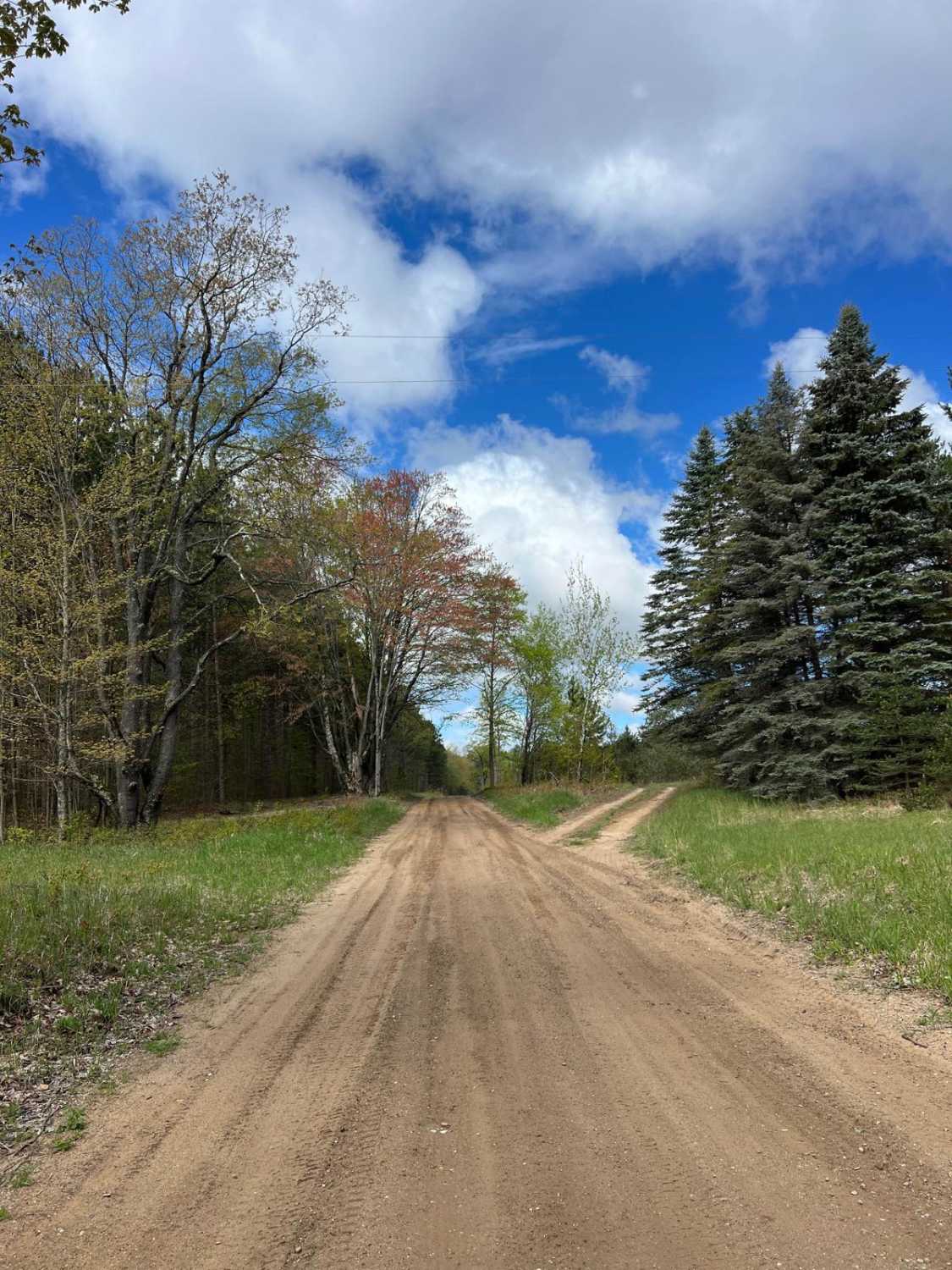6 Trail