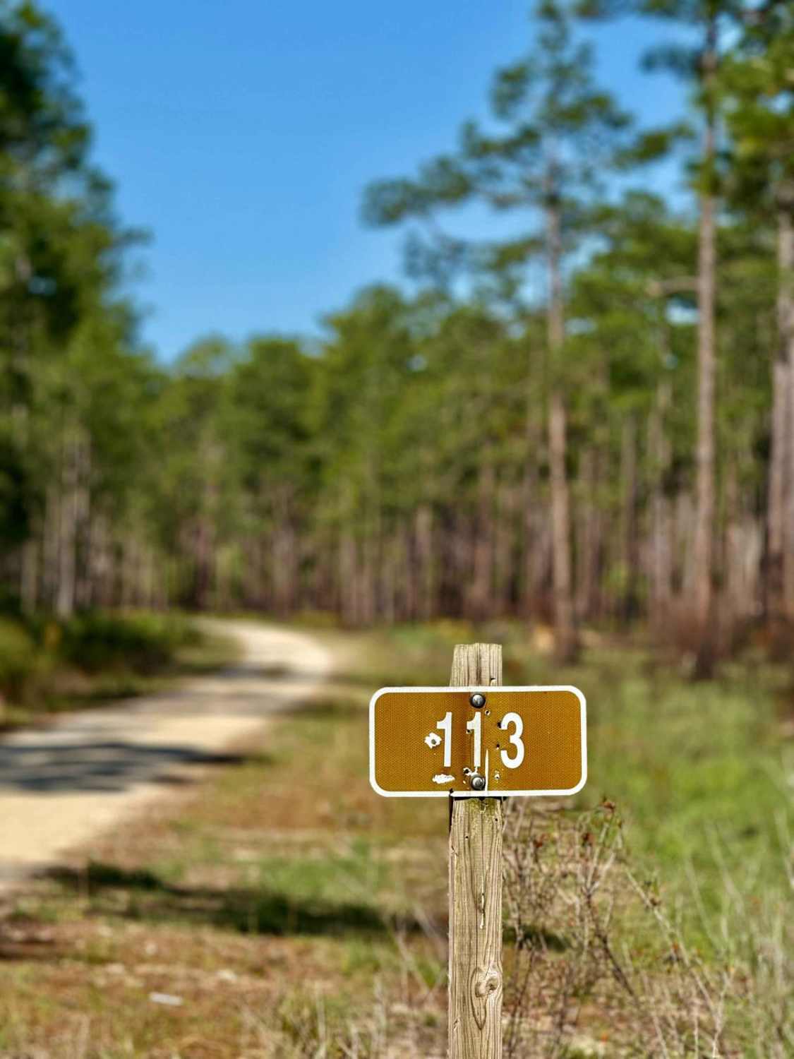 Larkin Trail - FS 113