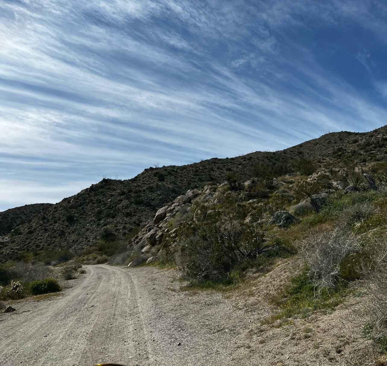 Grapevine Canyon Trail