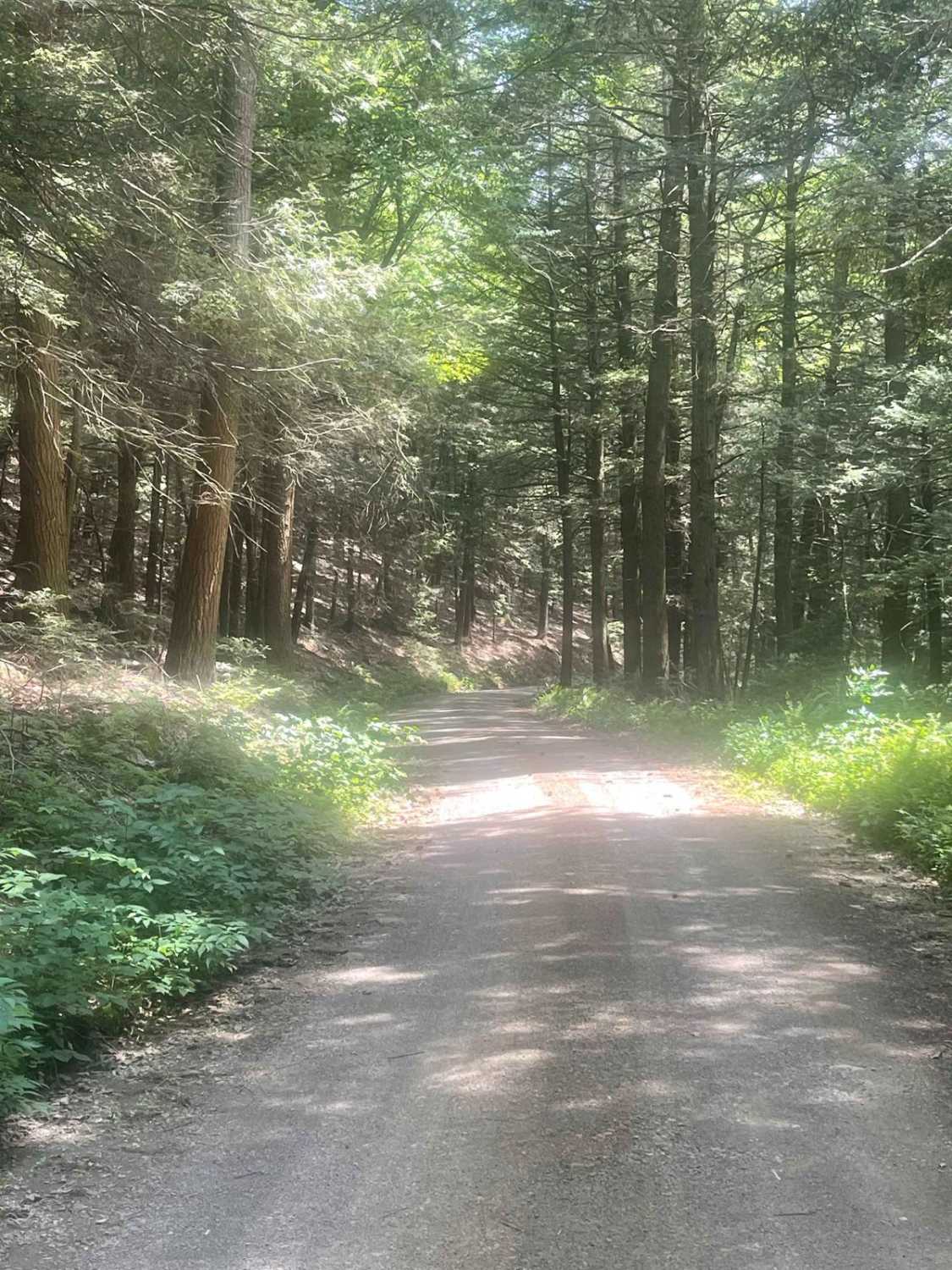 White Deer Creek Road