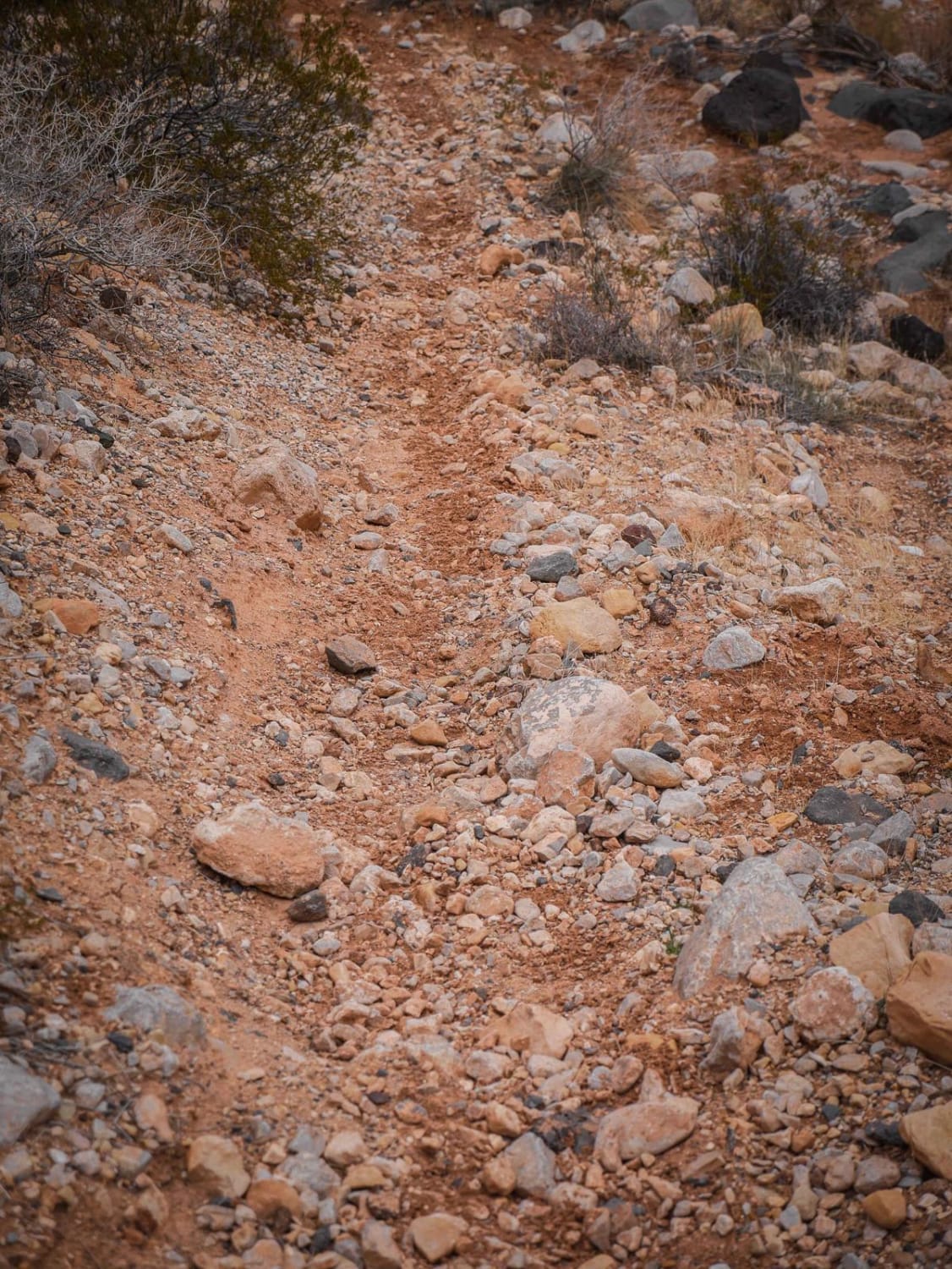 2066 Single Track 