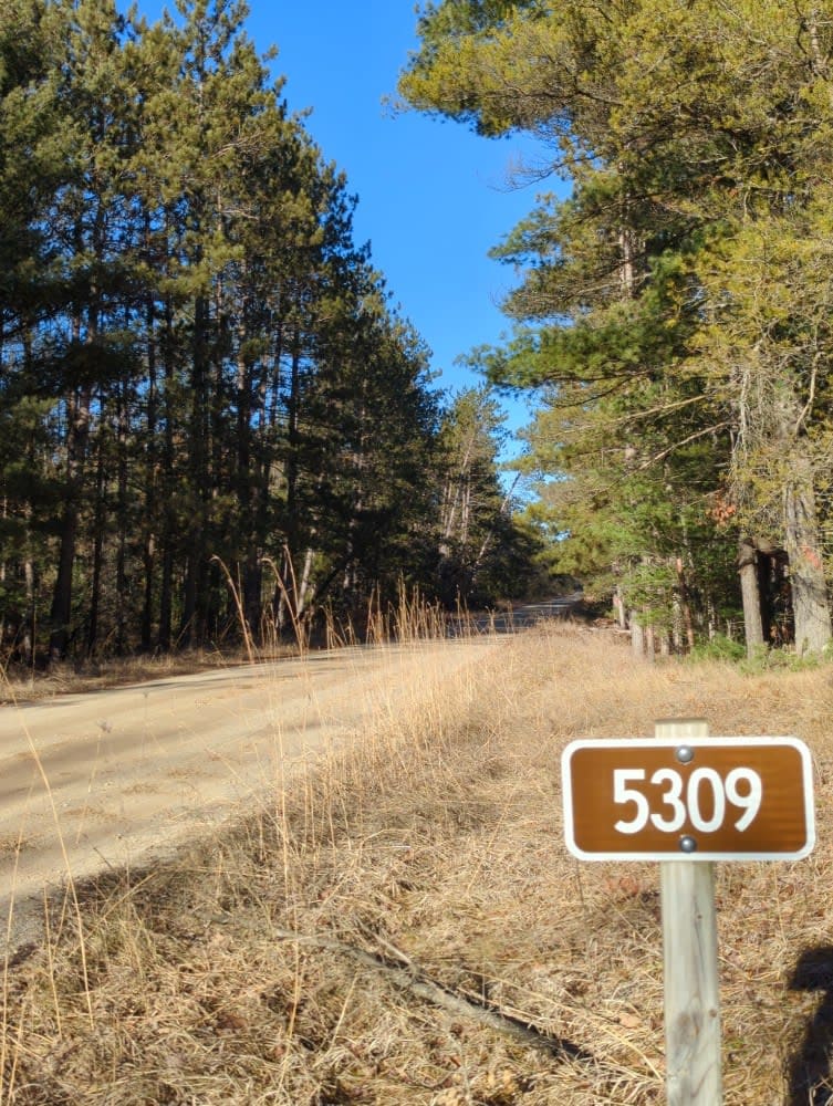 Manistee National Forest Roads 5309-5363