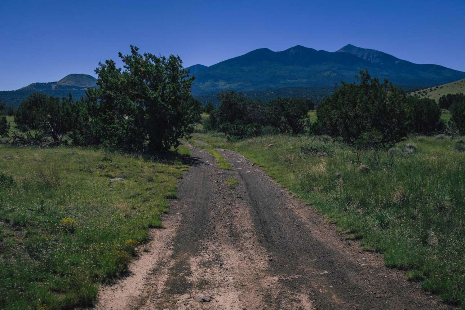 Reese Canyon