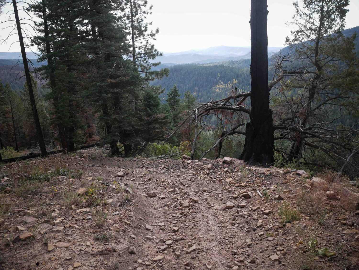 Trail Spring 