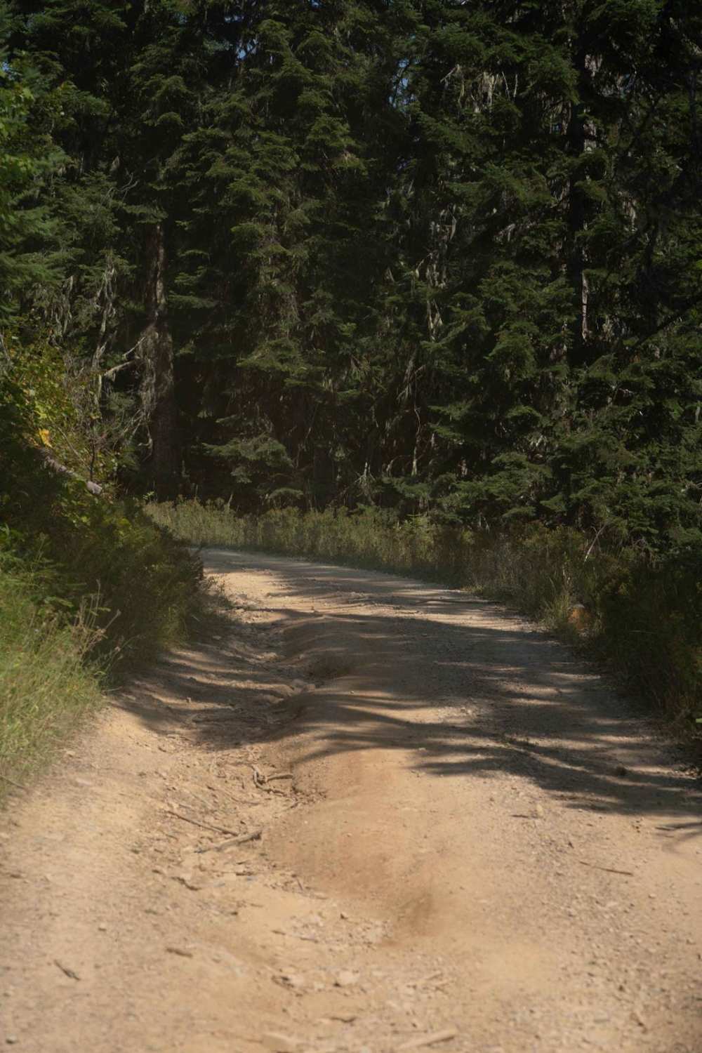 Crooked Ridge - FS 258