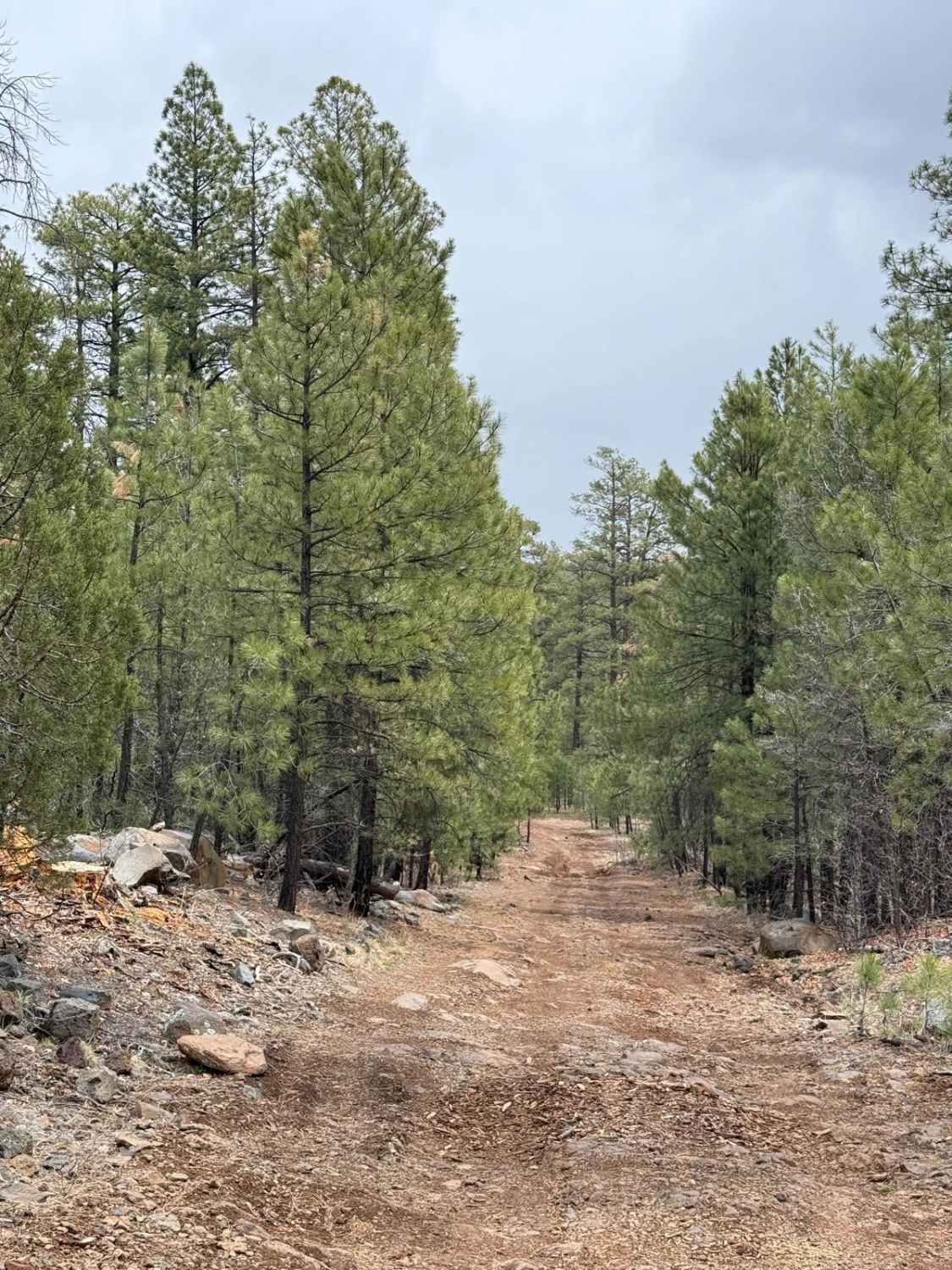 Trail 57