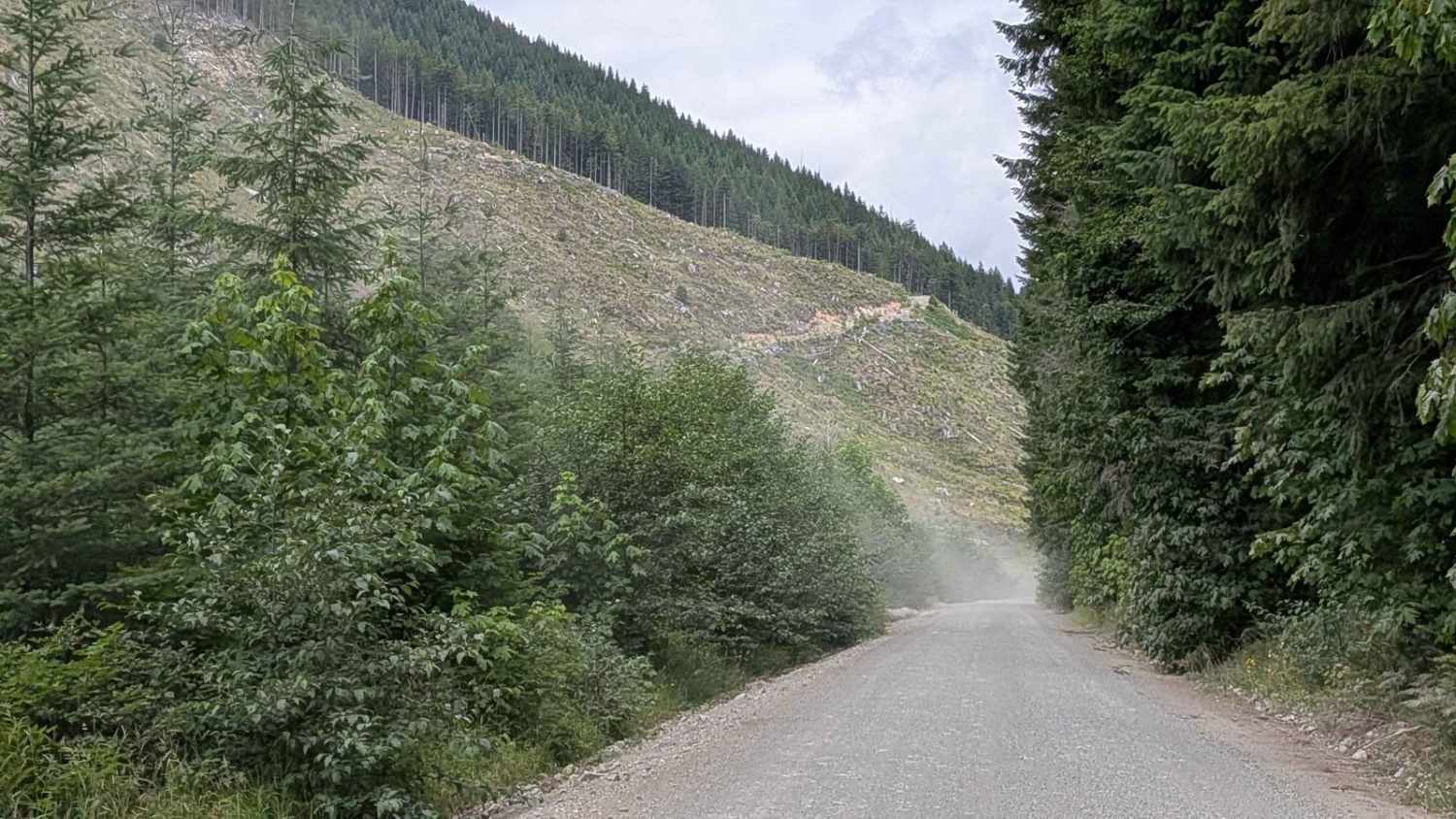 Gordon River Road North 