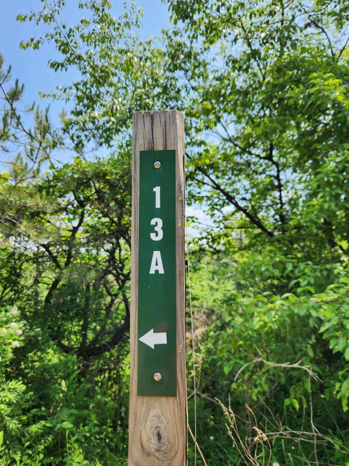 Trail 13A - Rock Run Recreation Area