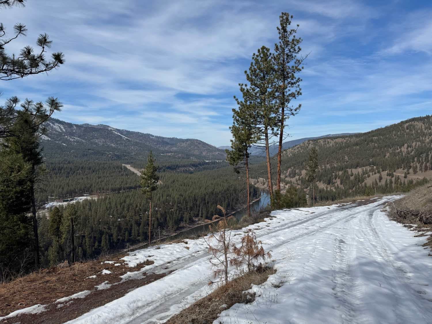 Micayune Gulch - FSR 1577