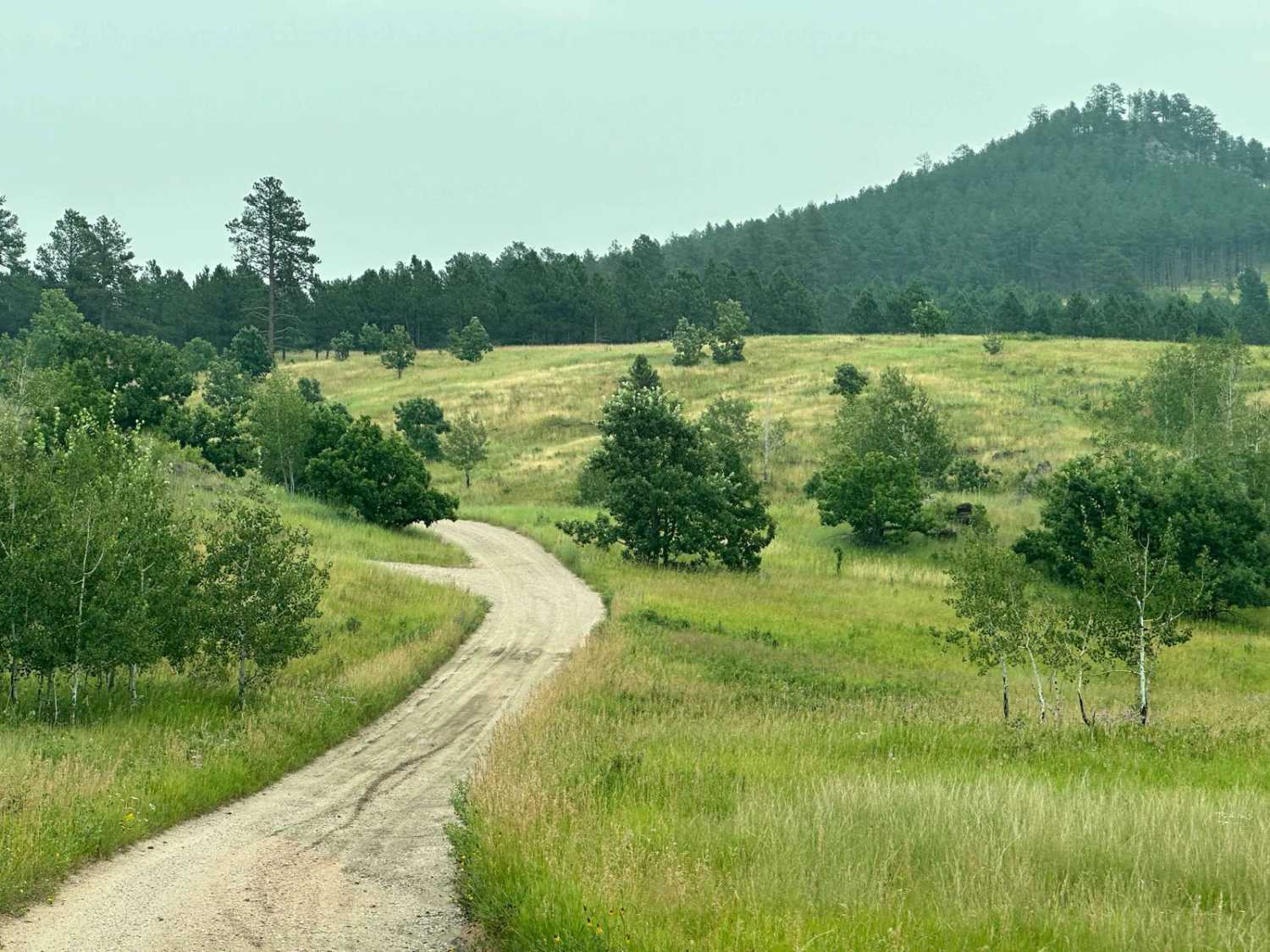 Long Run - 641
