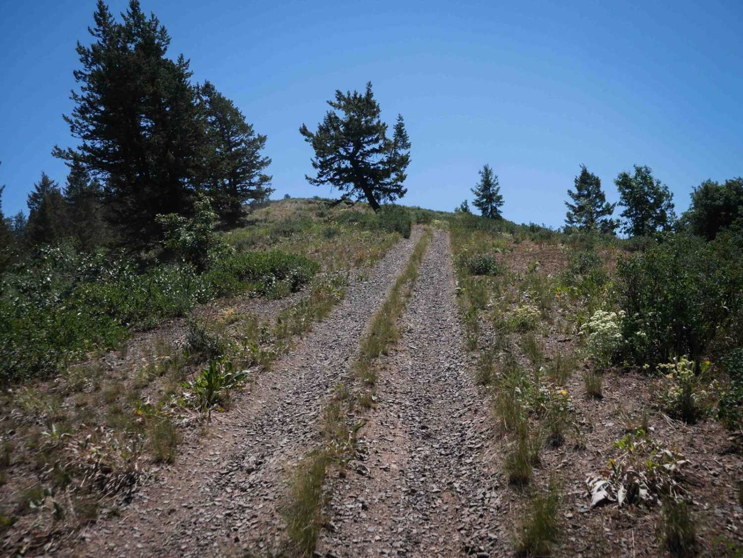 Middle South Sulphur Canyon #5243