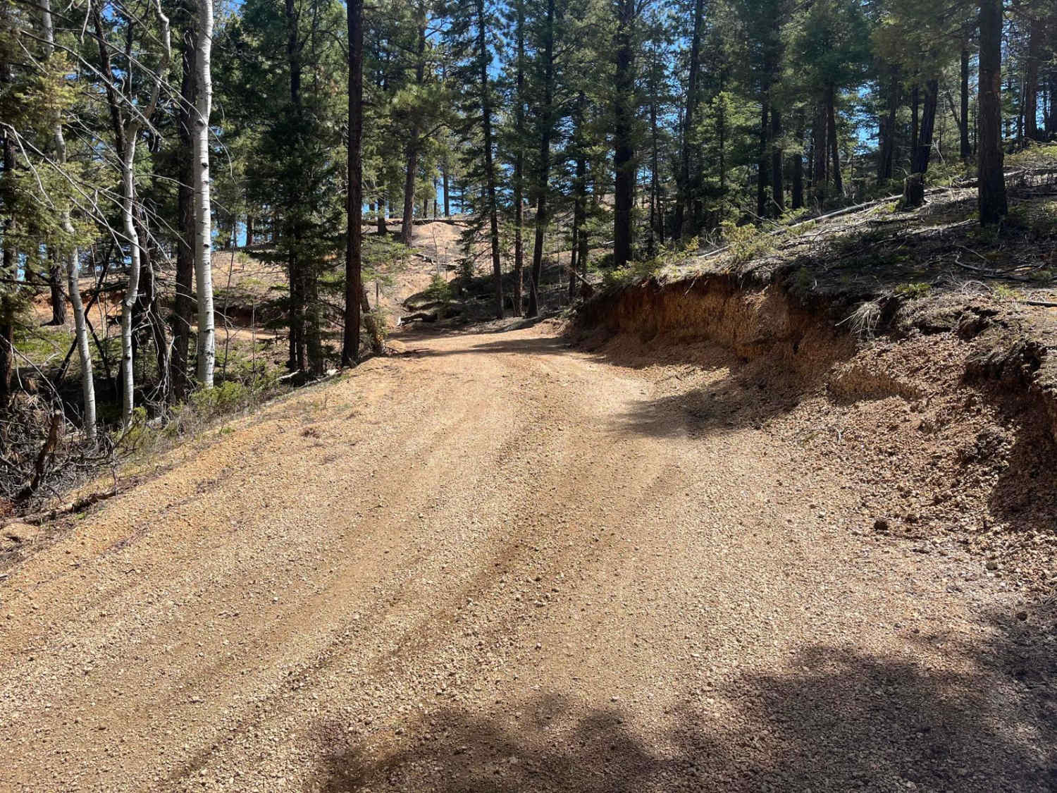 Ensign Gulch Road FR 314