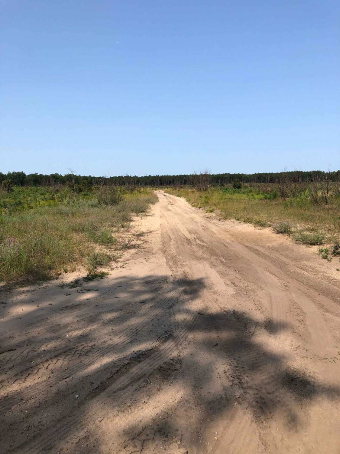 Ray Highway