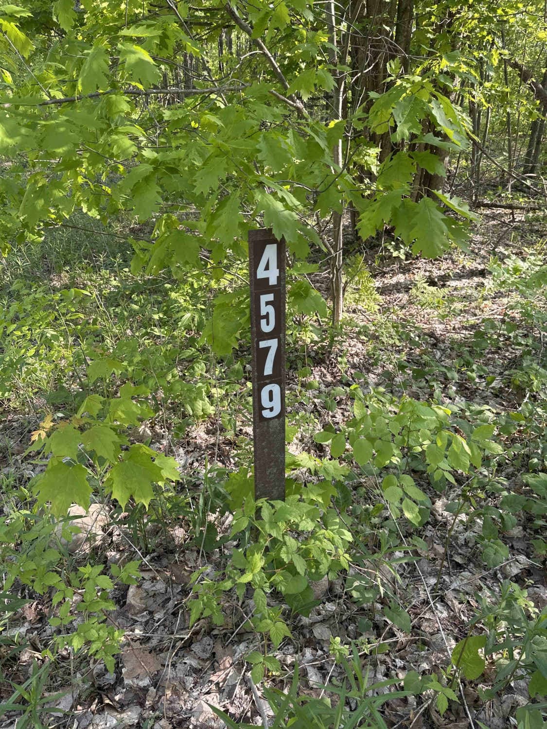 FS 4579