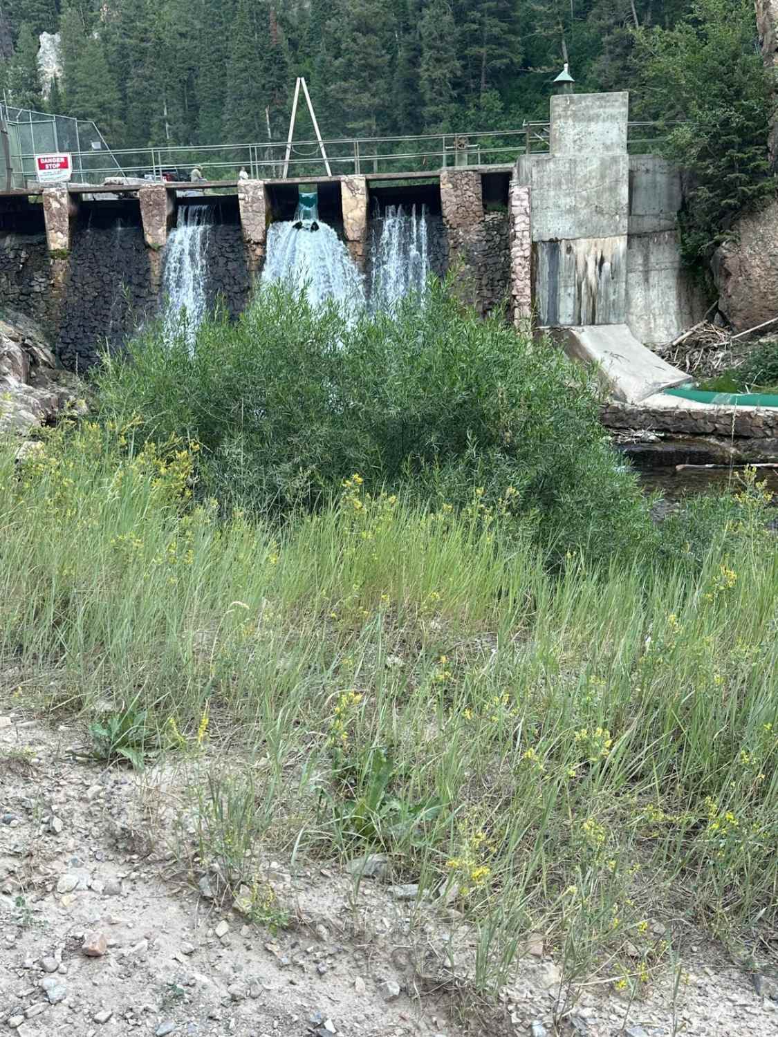 Swift Creek