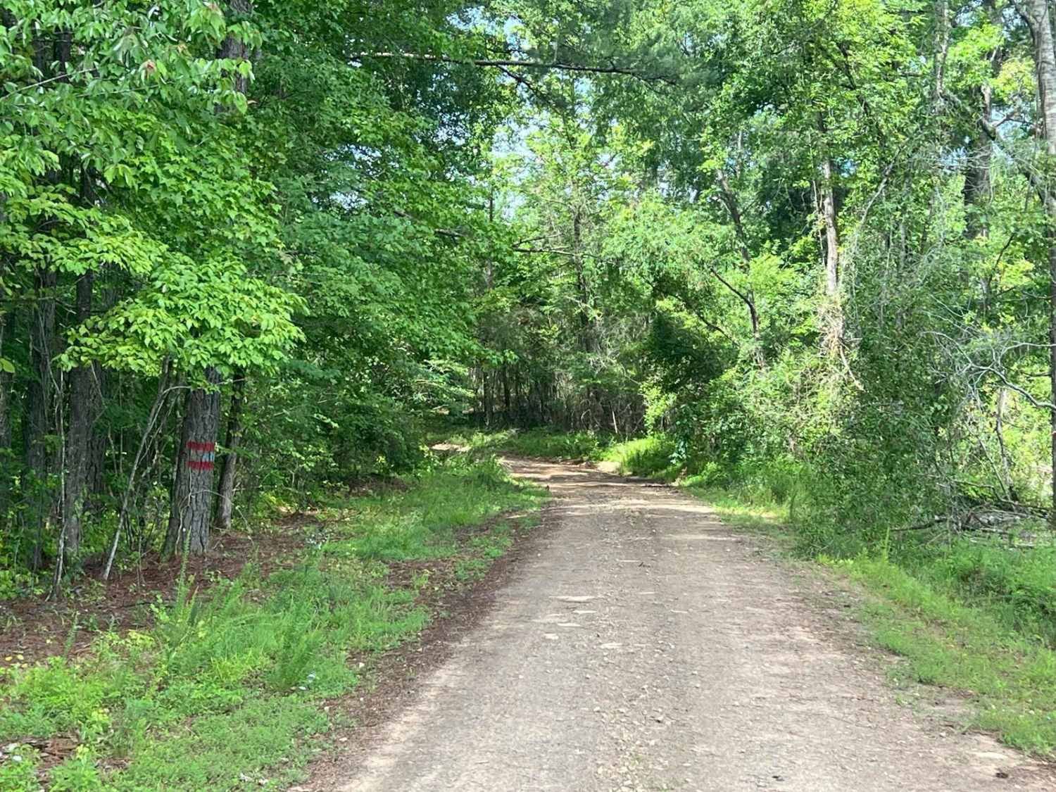 Edwards Road