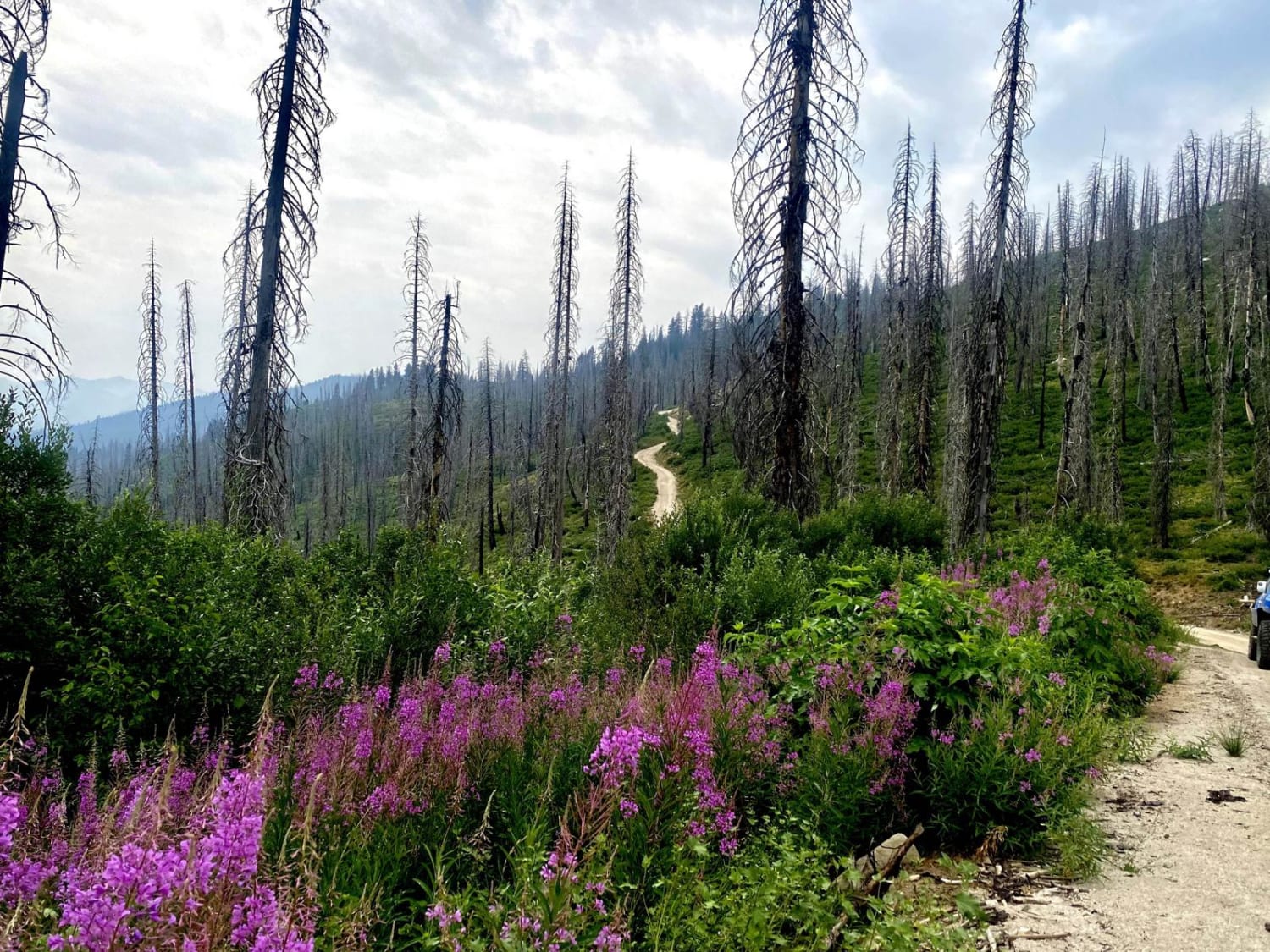 Trinity Lakes Mountain Trail