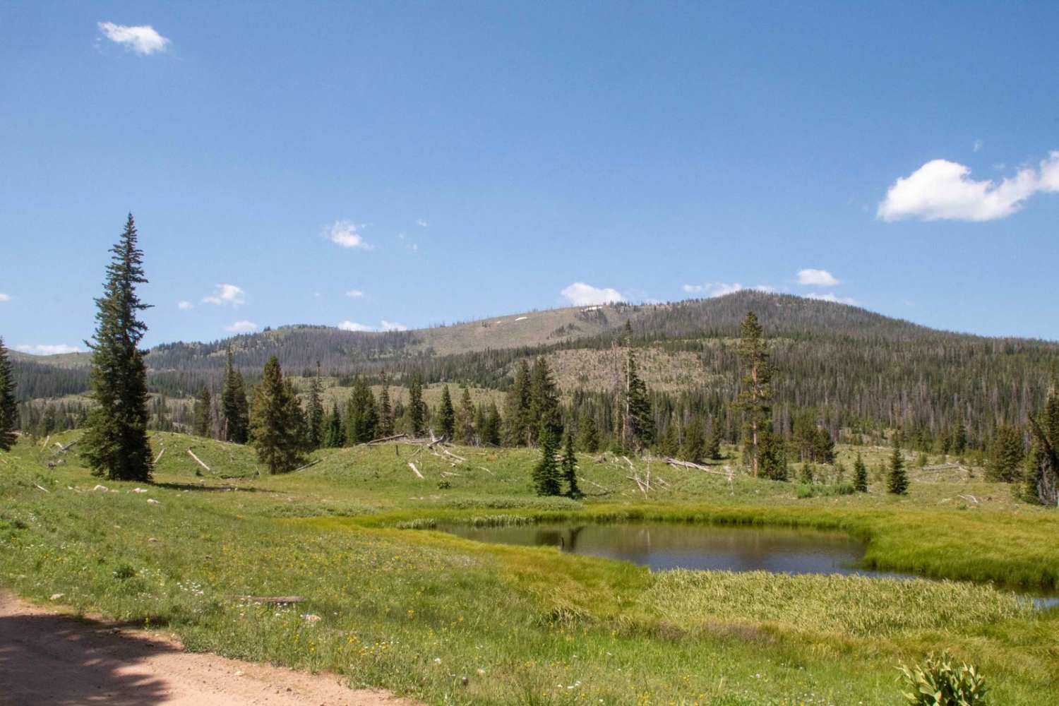 Mill Creek