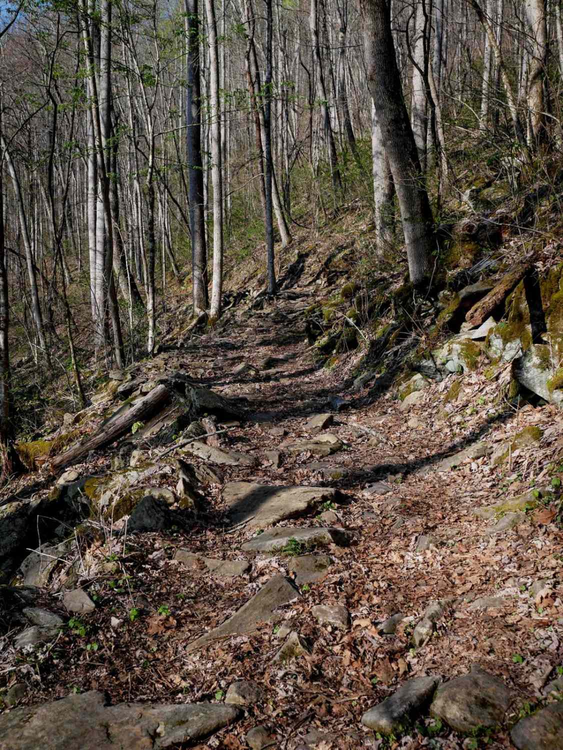 Sunset Connector Trail 9 (One-Way) 
