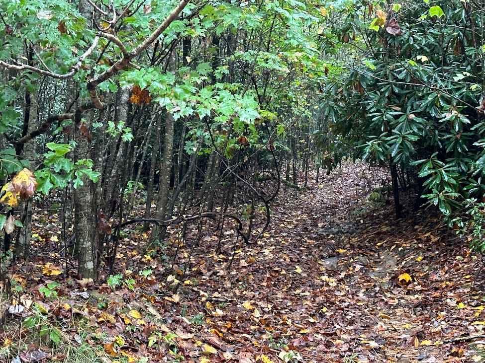 199 Single Track
