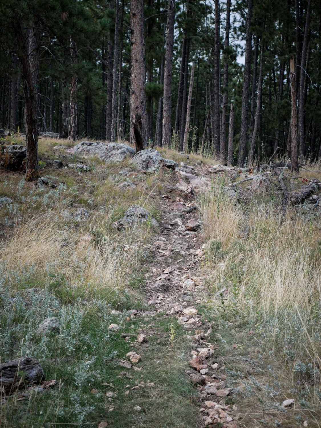 Devils Head 6660 