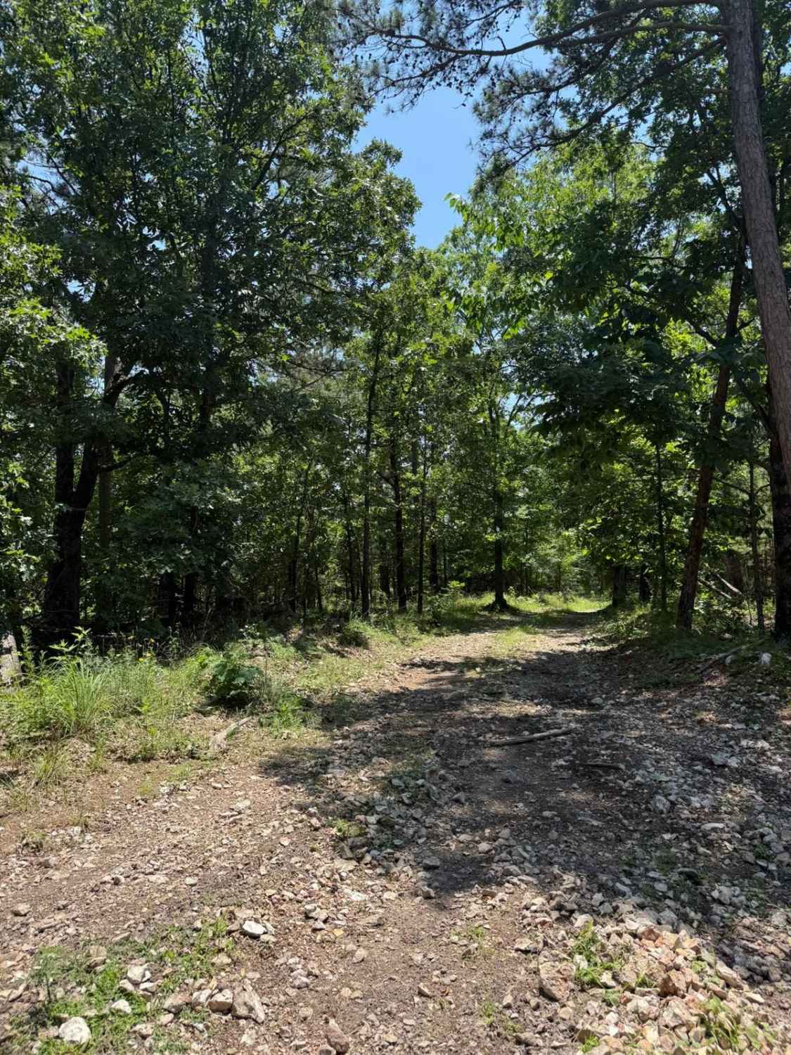 Casen's Trail