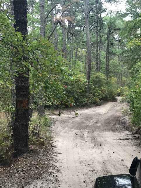 Stokes Trail