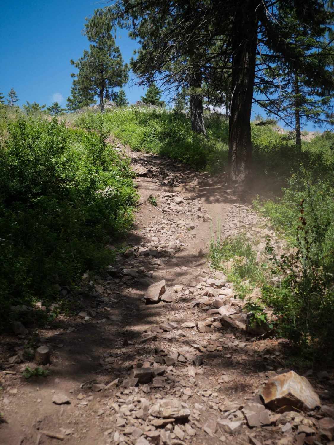 Canfield Mountain- Trail 1 
