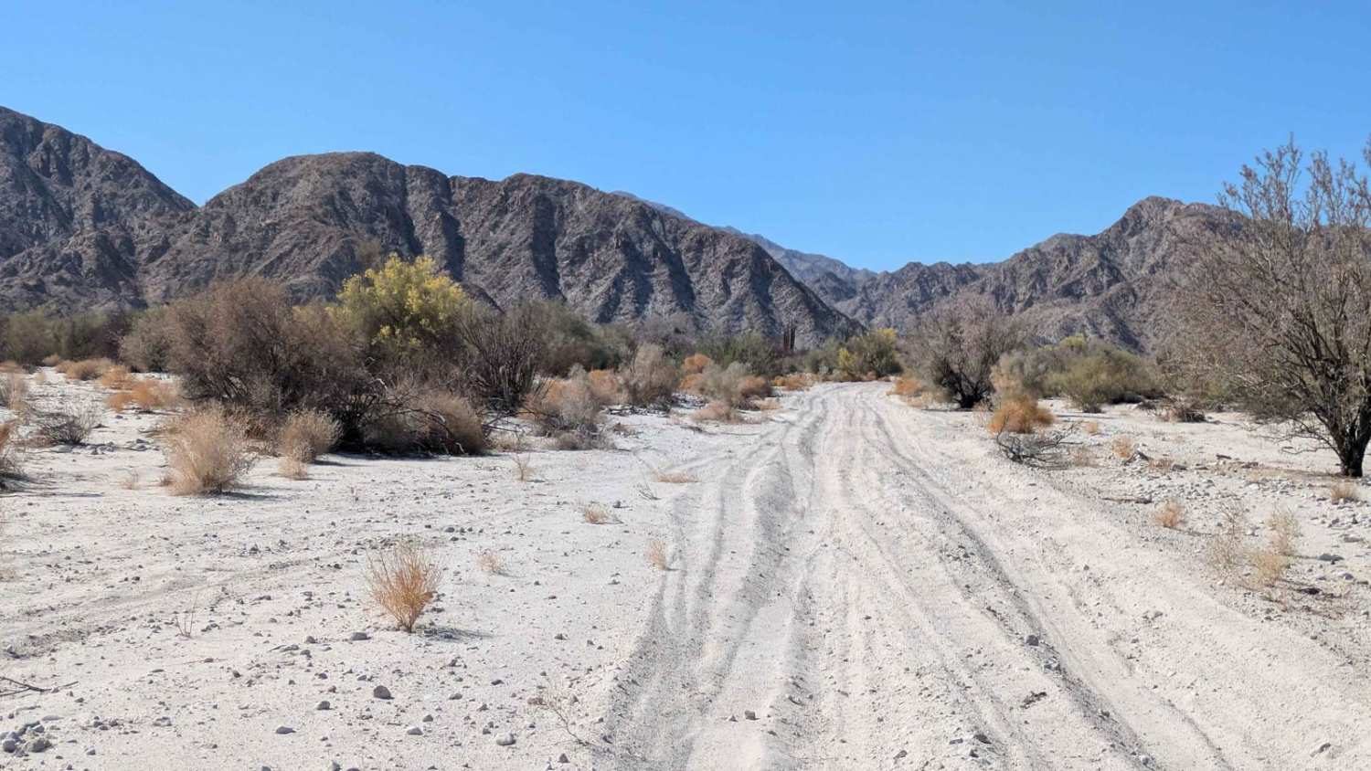 Corre a las Montanas