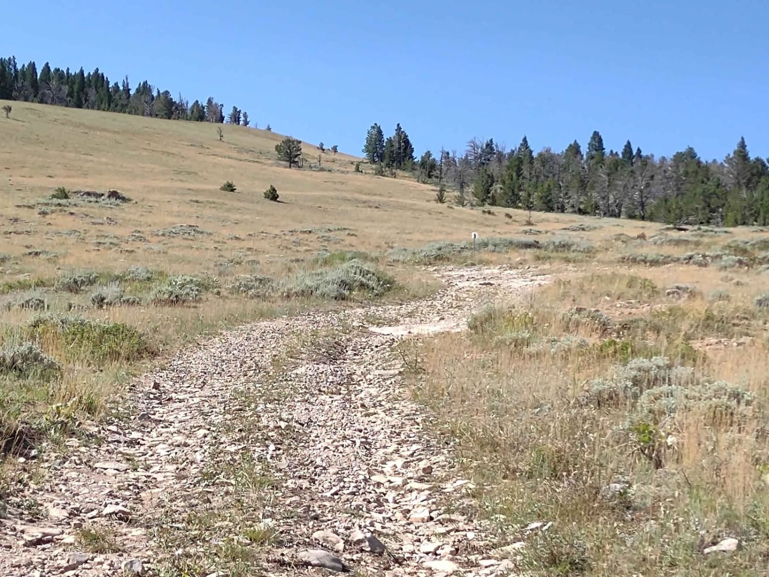 Limestone Trail (FS 327)