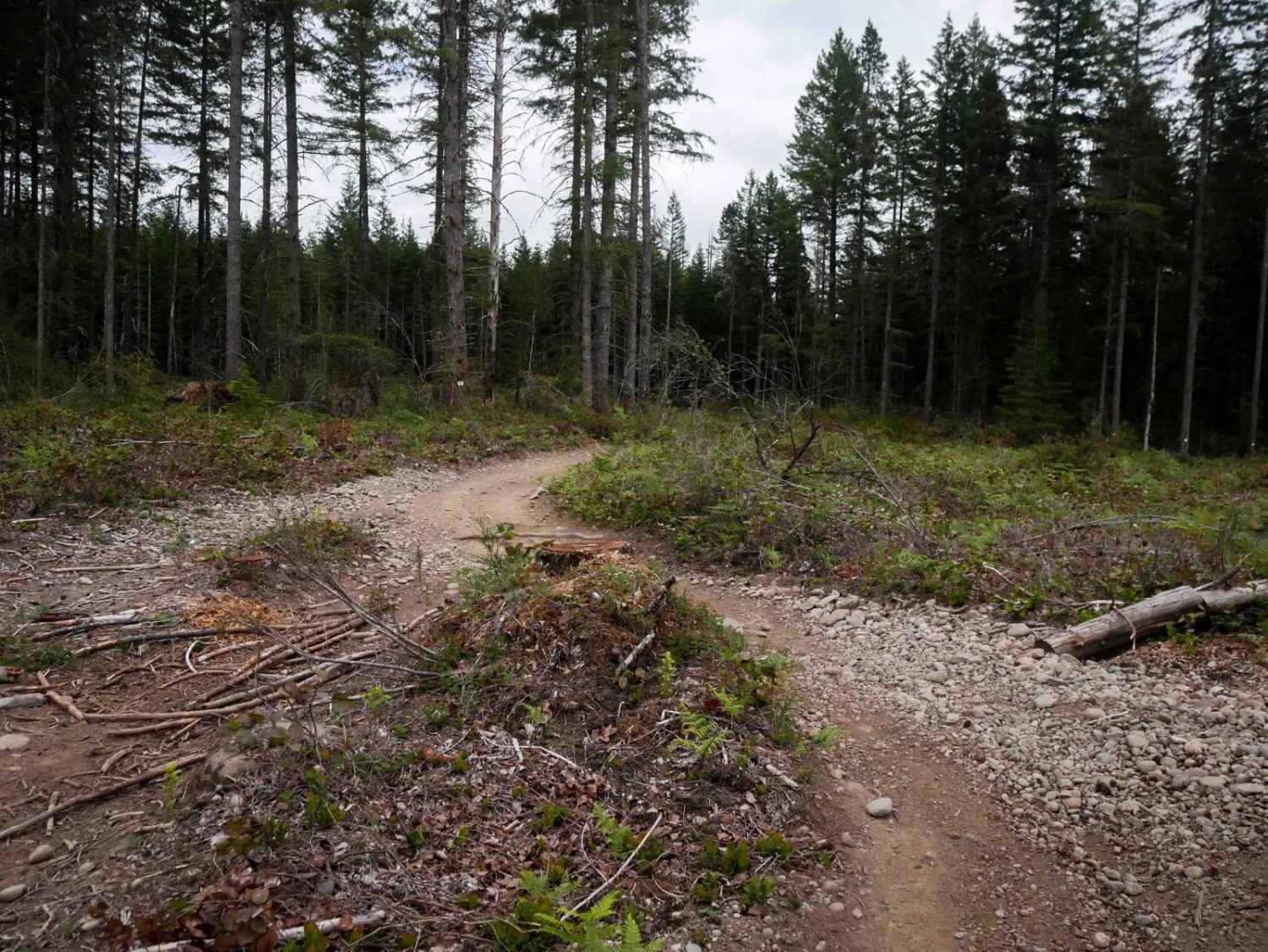 Tahuya River Staging