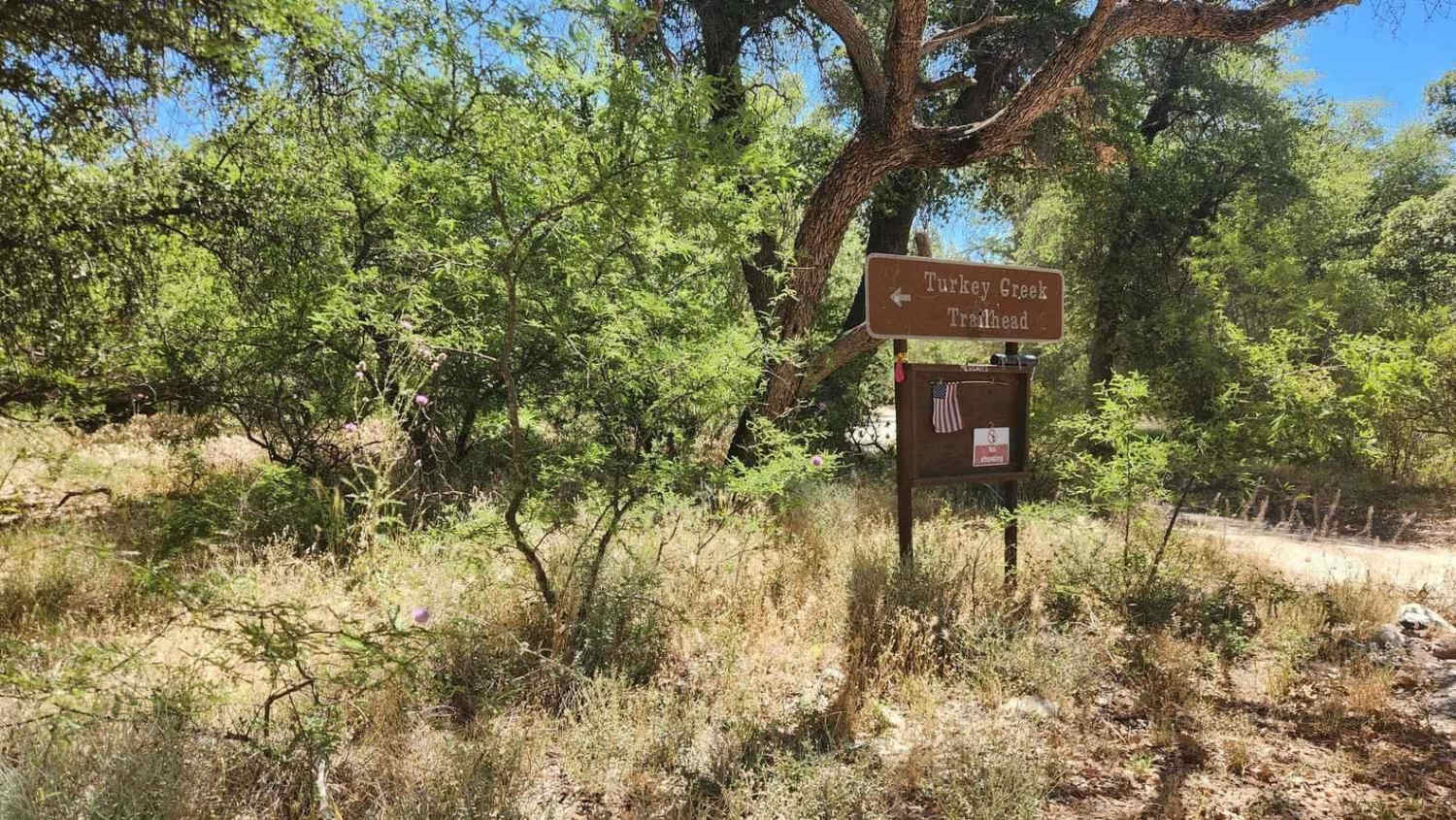 Turkey Creek Springs FR 4408
