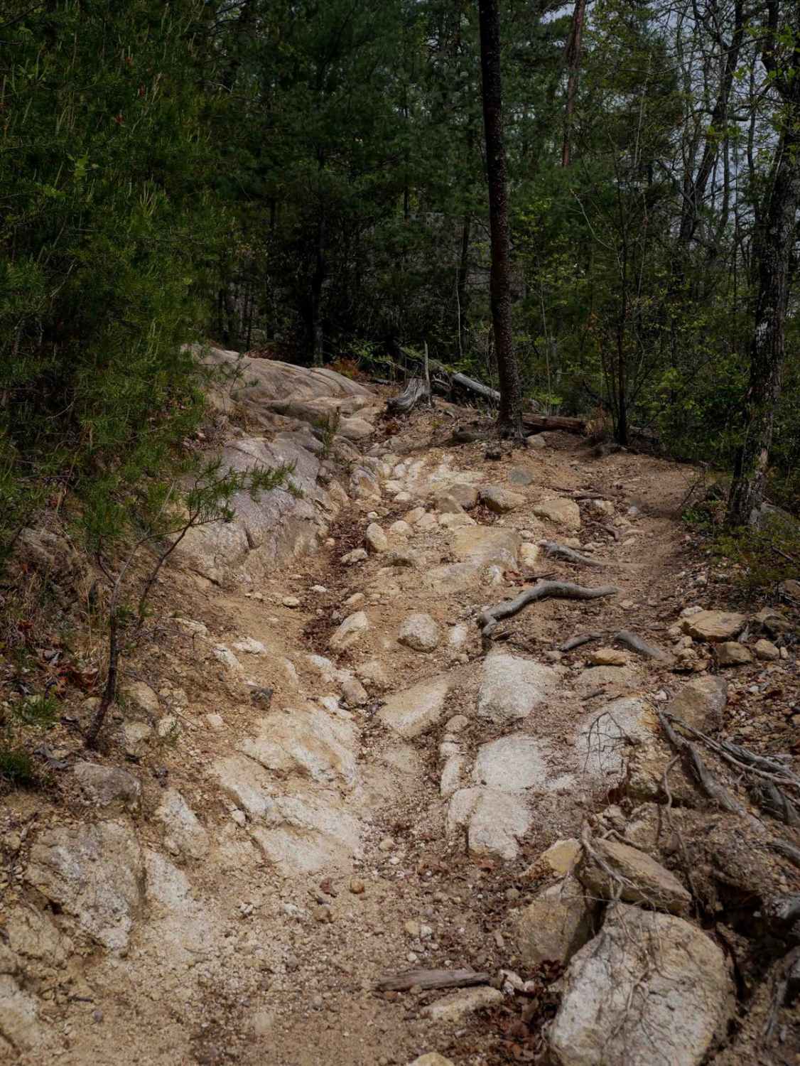 Trail 3 Sullivan's Pass