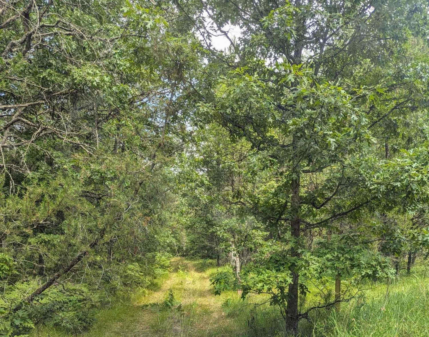 Huron NFS Trail 3079