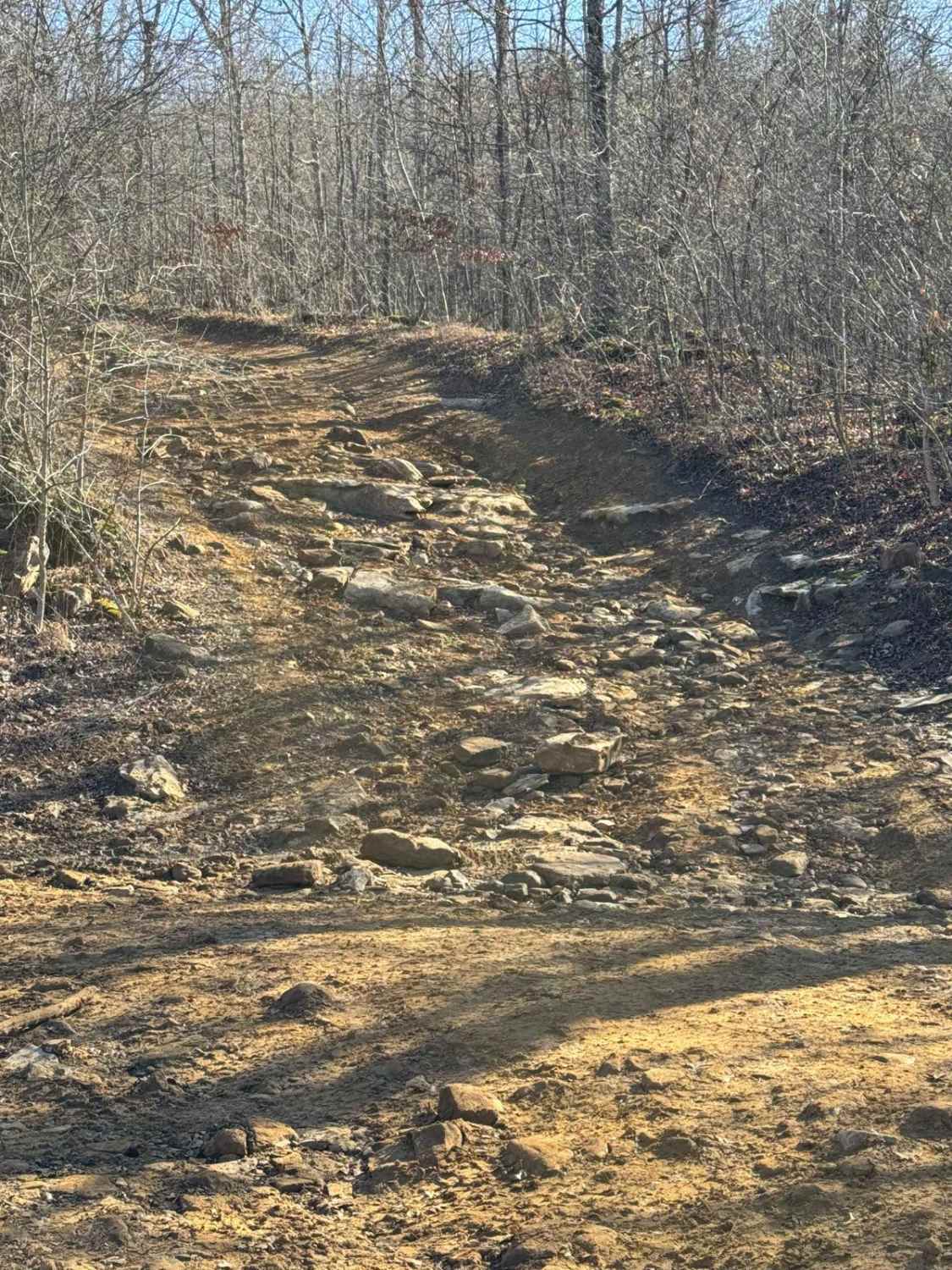 #90 Abbie's Trail