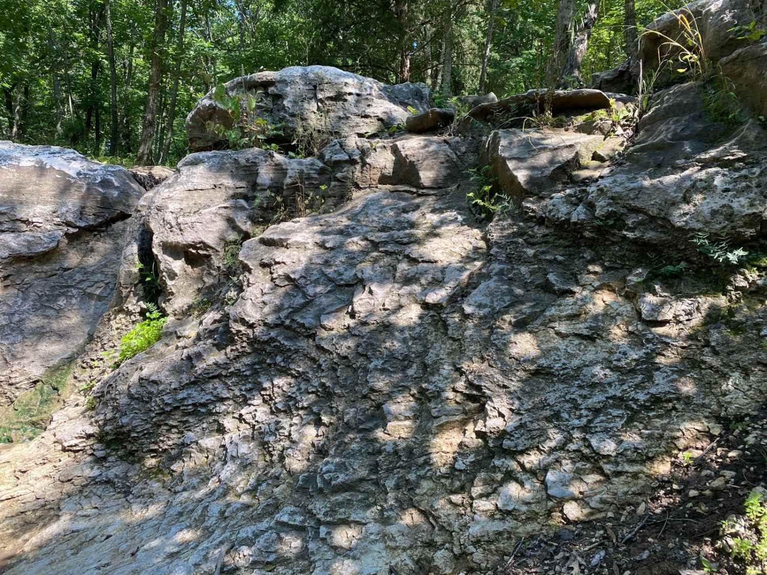 Head Wall