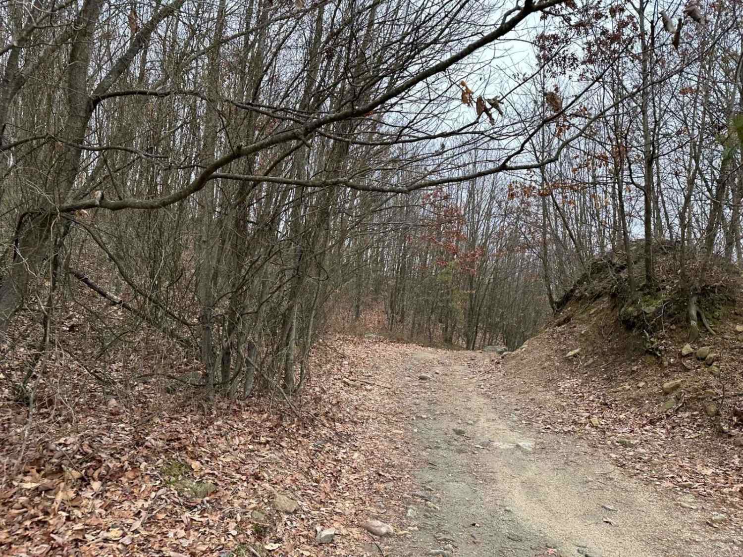 Marion Bridge Trail
