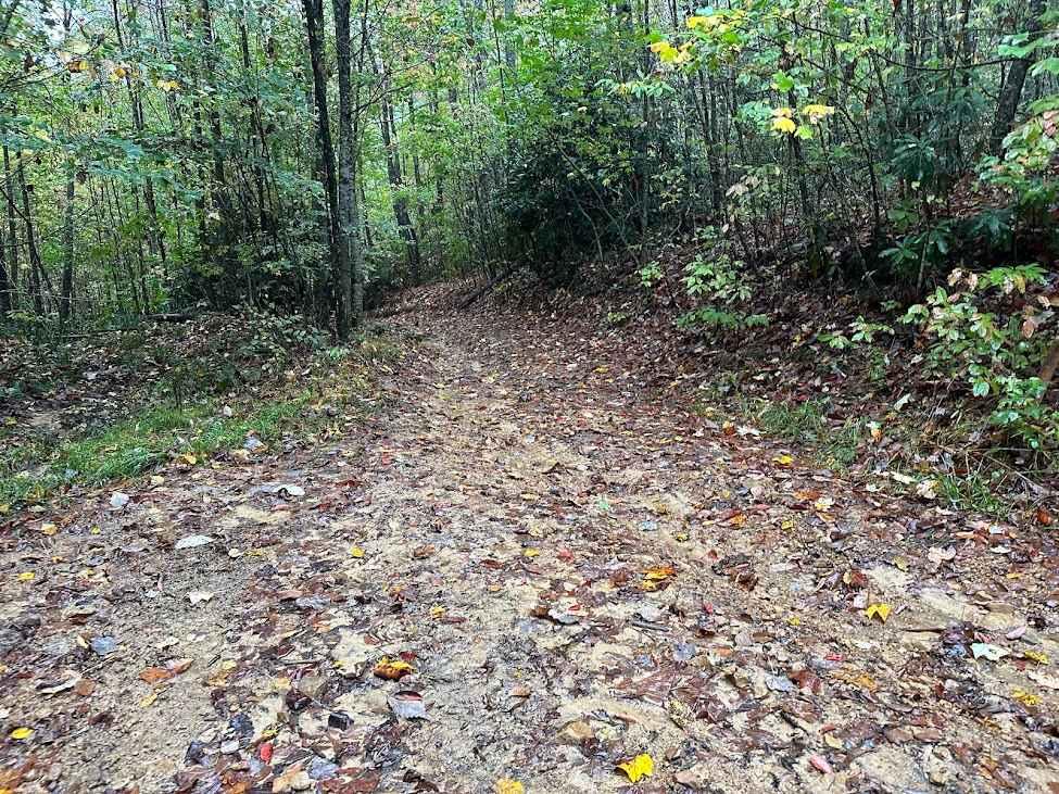 167 Single Track