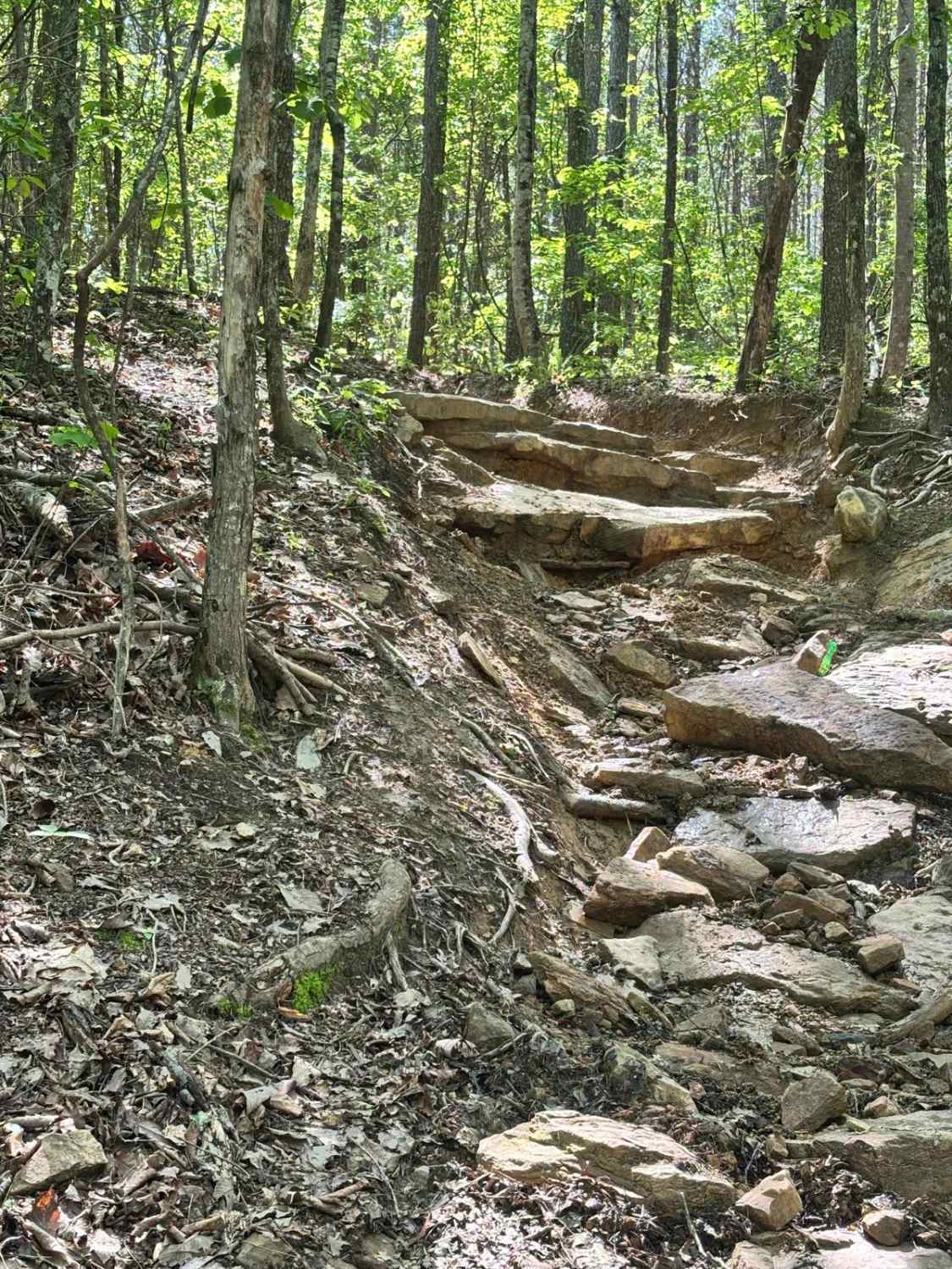 Square Peg Round Hole