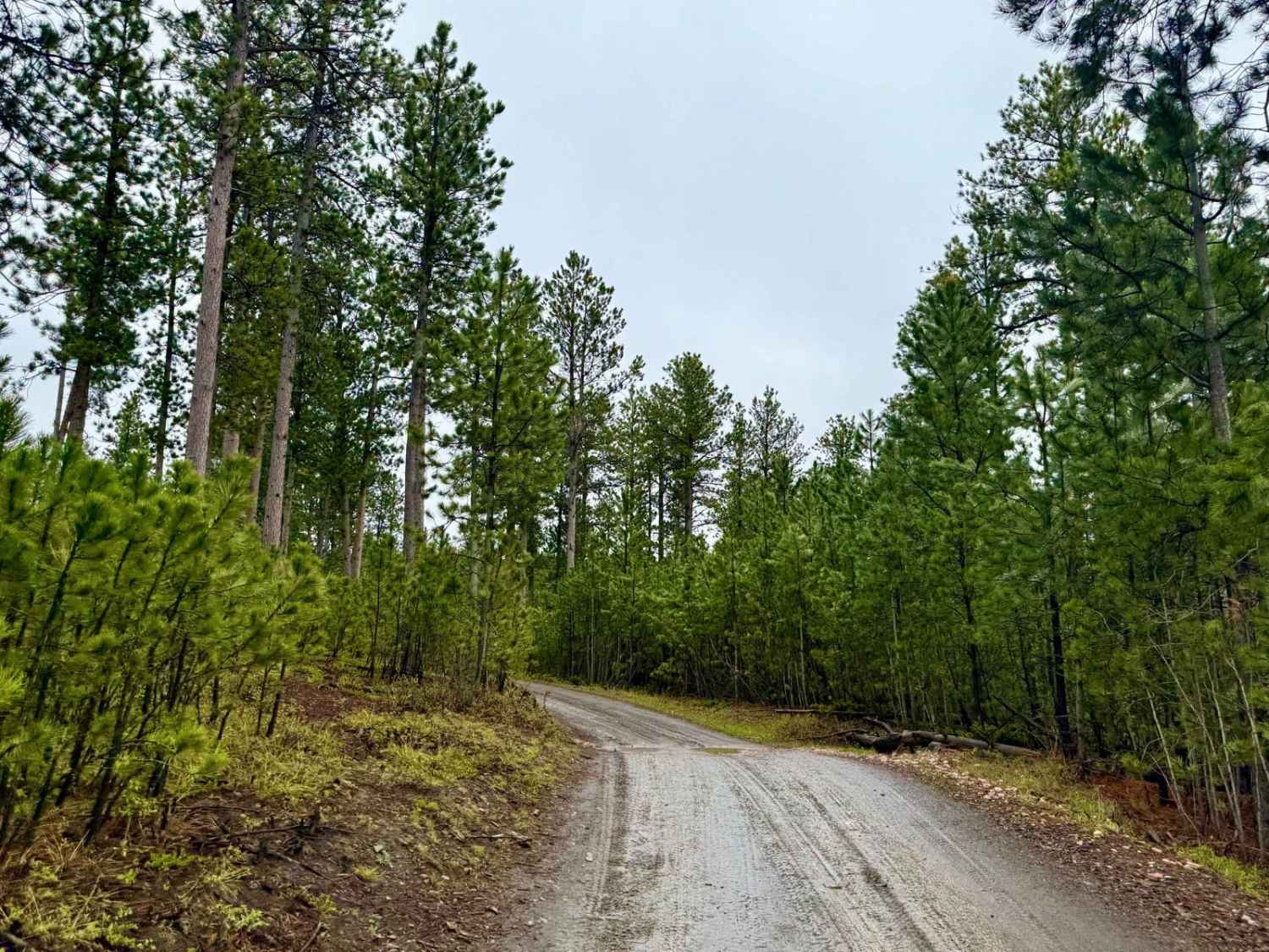 Whitetail Peak South 