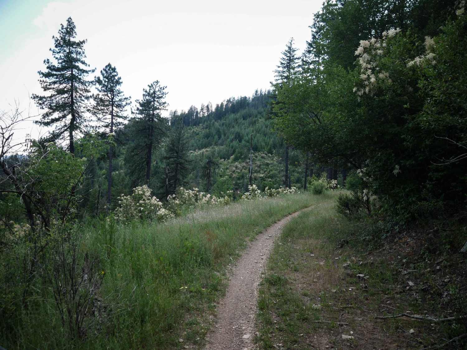 Canfield Mountain - Trail A (East)