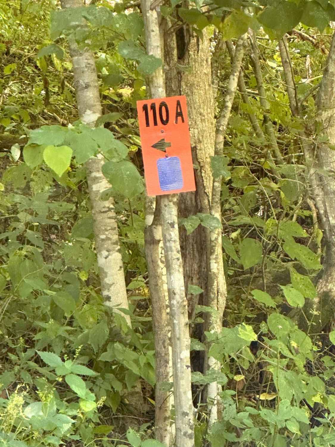 110A