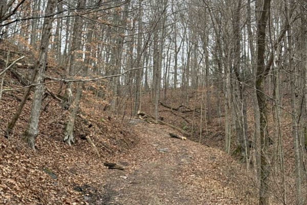 Johnson Hollow